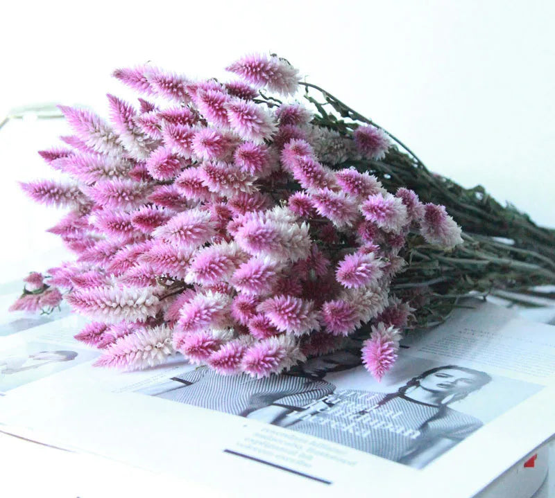 Dried Phoenix Tail Bouquet for Vases & Floor Vase Arrangements | Natural Dried Flowers | Boho Home & Office Decor, About 10 Stems