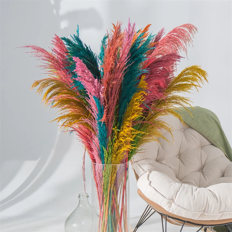Dried Pampas Grass Bouquet for Vases, Living Room & Wedding Decor | Natural Fluffy Boho Dried Flowers | Mixed Bouquets in 30+ Styles, 45 to 50cm
