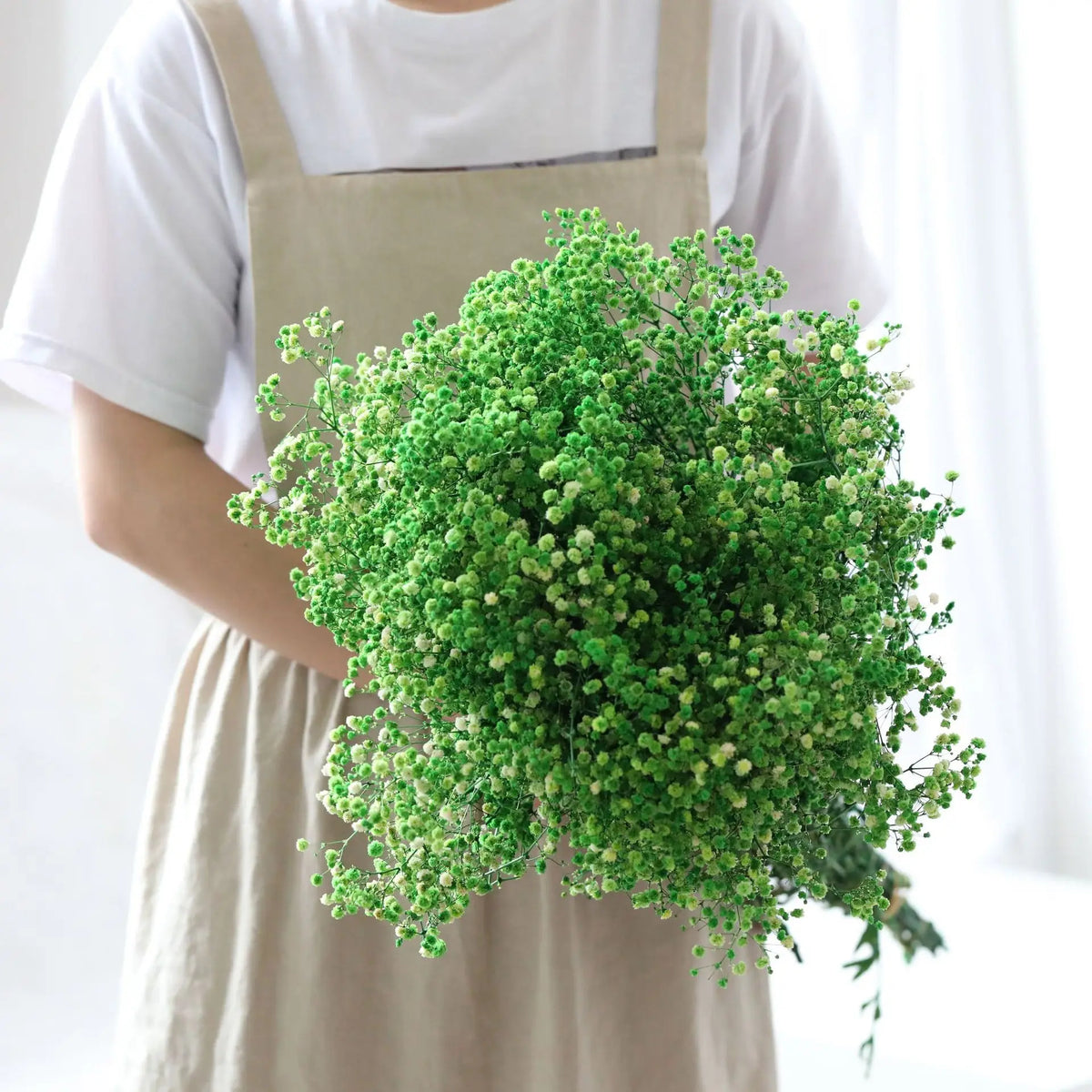 Dried Baby's Breath Bouquet | Preserved Gypsophila Dried Flowers for Wedding, Home Decor & Photo Props, 30g–100g in 9 Colours