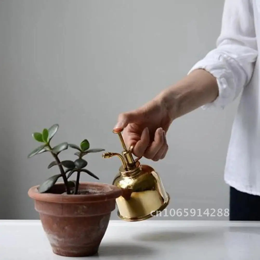 Small Watering Can for Indoor Plants, Succulents & Bonsai | Vintage Style Stainless Steel Plant Watering Can | Gold, Rose Gold or Silver