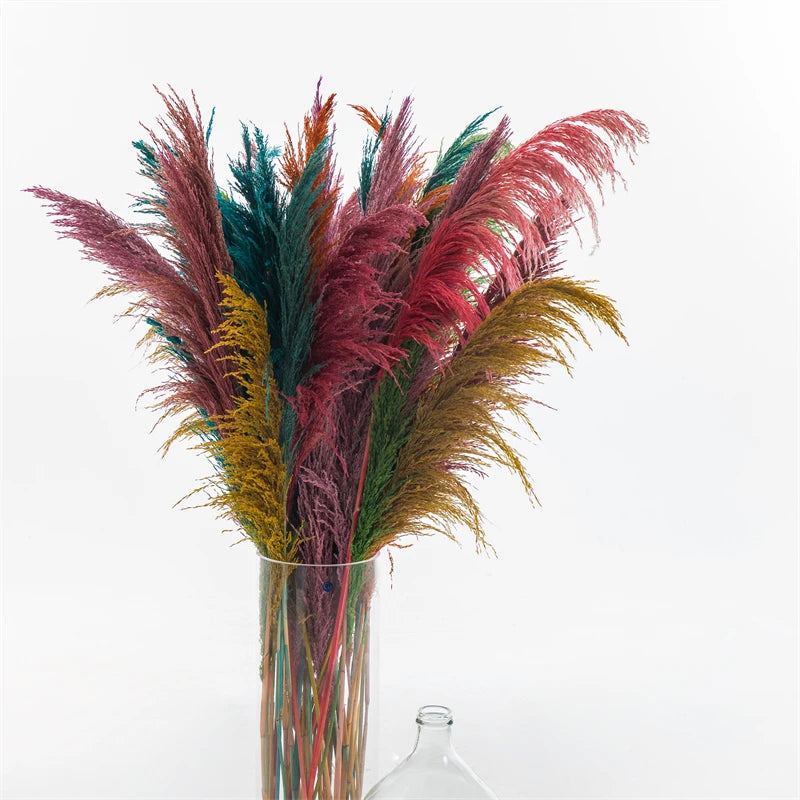 Dried Pampas Grass Bouquet for Vases, Living Room & Wedding Decor | Natural Fluffy Boho Dried Flowers | Mixed Bouquets in 30+ Styles, 45 to 50cm