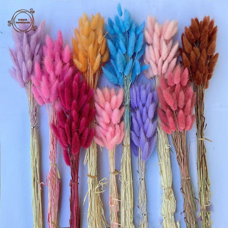 Dried Bunny Tail Grass Bouquet for Vases & Table Decor | 50 Natural Lagurus Stems | Boho Home & Wedding Decor in 18 Colours
