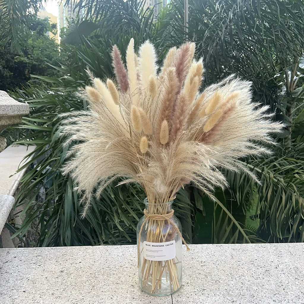 Dried Pampas Grass Bouquet for Vases, Living Room & Wedding Decor | Natural Fluffy Boho Dried Flowers | Mixed Bouquets in 30+ Styles, 45 to 50cm