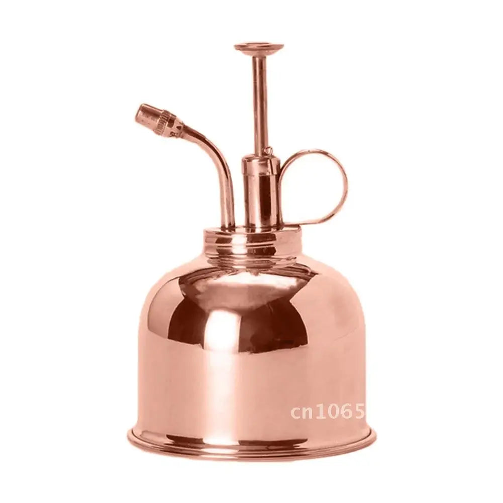 Small Watering Can for Indoor Plants, Succulents & Bonsai | Vintage Style Stainless Steel Plant Watering Can | Gold, Rose Gold or Silver