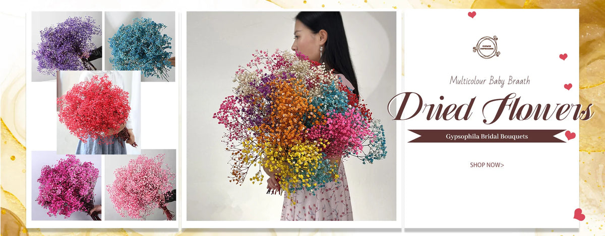 Dried Bunny Tail Grass Bouquet for Vases & Table Decor | 50 Natural Lagurus Stems | Boho Home & Wedding Decor in 18 Colours