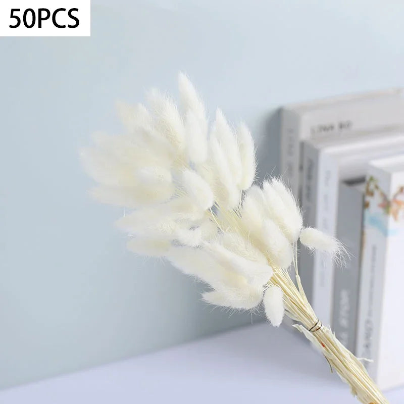 Dried Bunny Tail Grass Bouquet for Vases & Table Decor | 50 Natural Lagurus Stems | Boho Home & Wedding Decor in 18 Colours