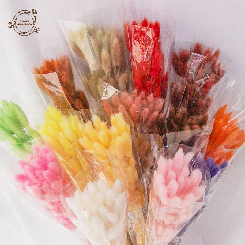 Dried Bunny Tail Grass Bouquet for Vases & Table Decor | 50 Natural Lagurus Stems | Boho Home & Wedding Decor in 18 Colours