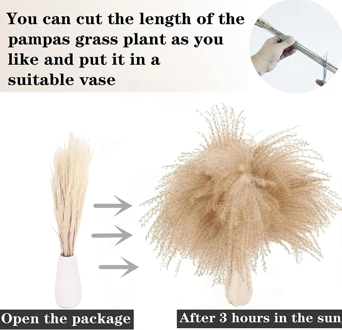 Dried Pampas Grass Bouquet for Vases, Living Room & Wedding Decor | Natural Fluffy Boho Dried Flowers | Mixed Bouquets in 30+ Styles, 45 to 50cm