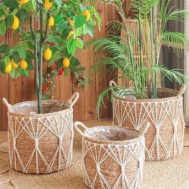Seagrass Planter Basket with Handles for Indoor Plants & Patio | Natural Woven Plant Pot Cover | Boho Storage Basket, 25cm or 29cm