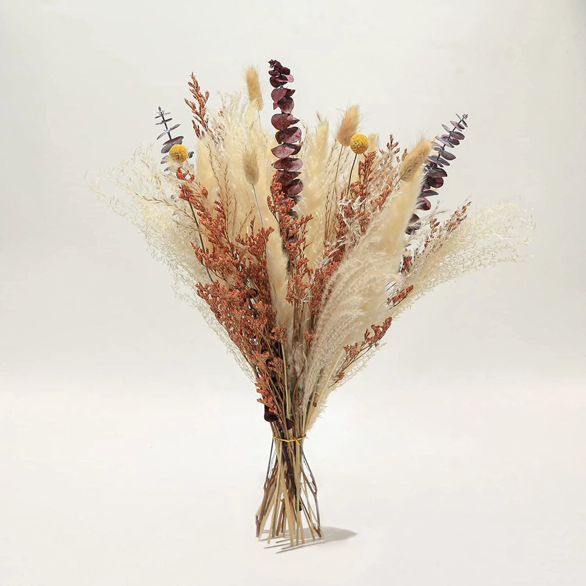 Dried Pampas Grass Bouquet for Vases, Living Room & Wedding Decor | Natural Fluffy Boho Dried Flowers | Mixed Bouquets in 30+ Styles, 45 to 50cm