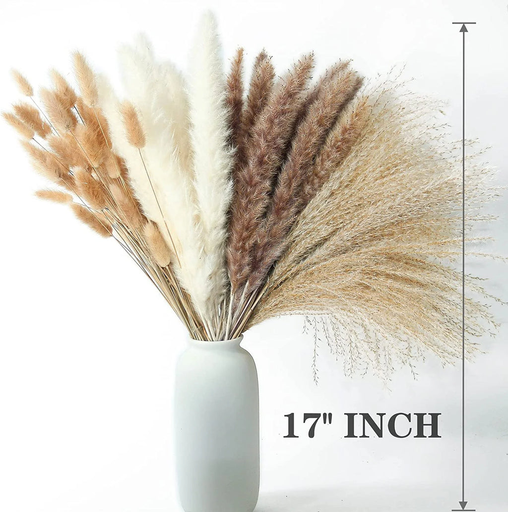 Dried Pampas Grass Bouquet for Vases, Living Room & Wedding Decor | Natural Fluffy Boho Dried Flowers | Mixed Bouquets in 30+ Styles, 45 to 50cm