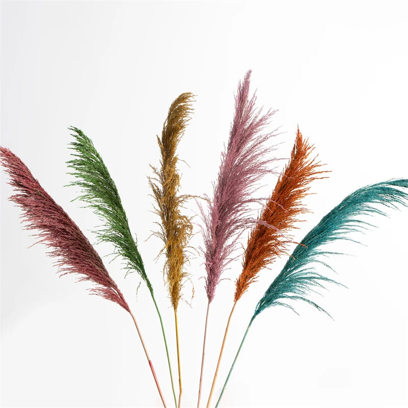 Dried Pampas Grass Bouquet for Vases, Living Room & Wedding Decor | Natural Fluffy Boho Dried Flowers | Mixed Bouquets in 30+ Styles, 45 to 50cm
