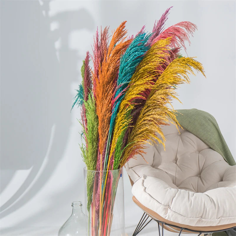 Dried Pampas Grass Bouquet for Vases, Living Room & Wedding Decor | Natural Fluffy Boho Dried Flowers | Mixed Bouquets in 30+ Styles, 45 to 50cm