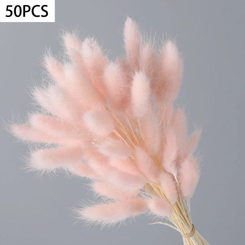 Dried Bunny Tail Grass Bouquet for Vases & Table Decor | 50 Natural Lagurus Stems | Boho Home & Wedding Decor in 18 Colours