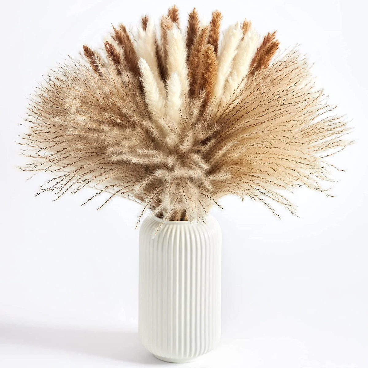 Dried Pampas Grass Bouquet for Vases, Living Room & Wedding Decor | Natural Fluffy Boho Dried Flowers | Mixed Bouquets in 30+ Styles, 45 to 50cm