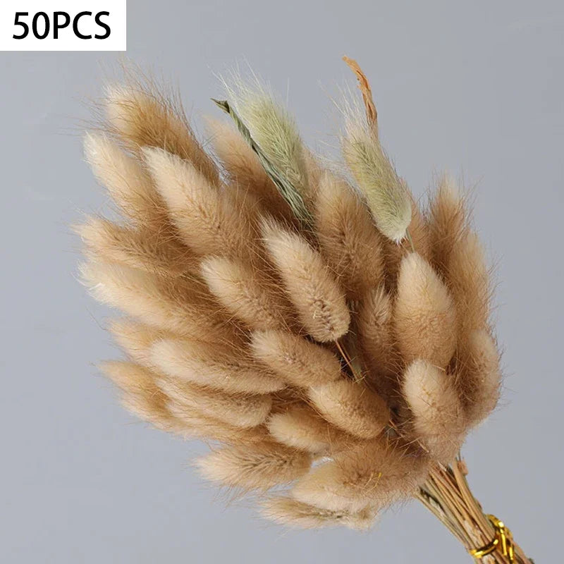Dried Bunny Tail Grass Bouquet for Vases & Table Decor | 50 Natural Lagurus Stems | Boho Home & Wedding Decor in 18 Colours