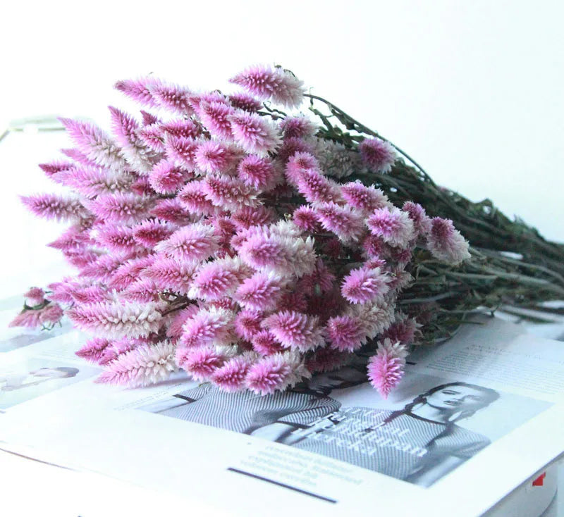 Dried Phoenix Tail Bouquet for Vases & Floor Vase Arrangements | Natural Dried Flowers | Boho Home & Office Decor, About 10 Stems