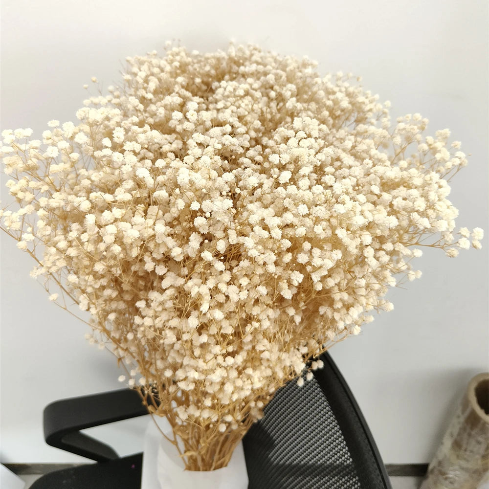 Dried Baby's Breath Bouquet | Preserved Gypsophila Dried Flowers for Wedding, Home Decor & Photo Props, 30g–100g in 9 Colours