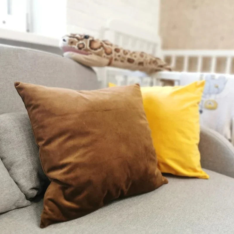 Dark Brown Velvet Throw Pillow Cover for Sofa & Bed | Super-Soft Cozy Bedroom Decor | Hidden Zipper | 4 Sizes from 30x50 to 50x50cm