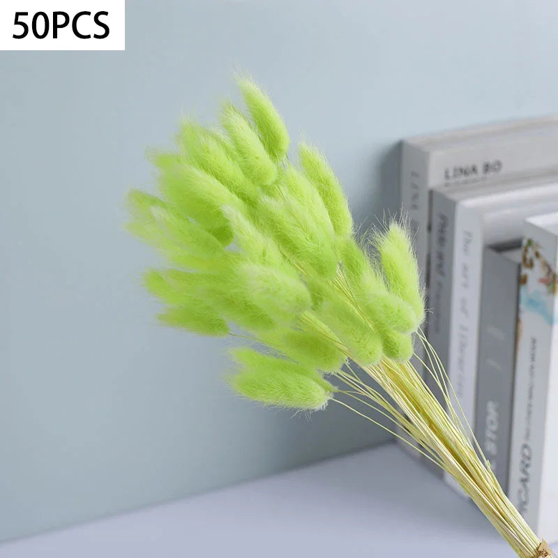 Dried Bunny Tail Grass Bouquet for Vases & Table Decor | 50 Natural Lagurus Stems | Boho Home & Wedding Decor in 18 Colours