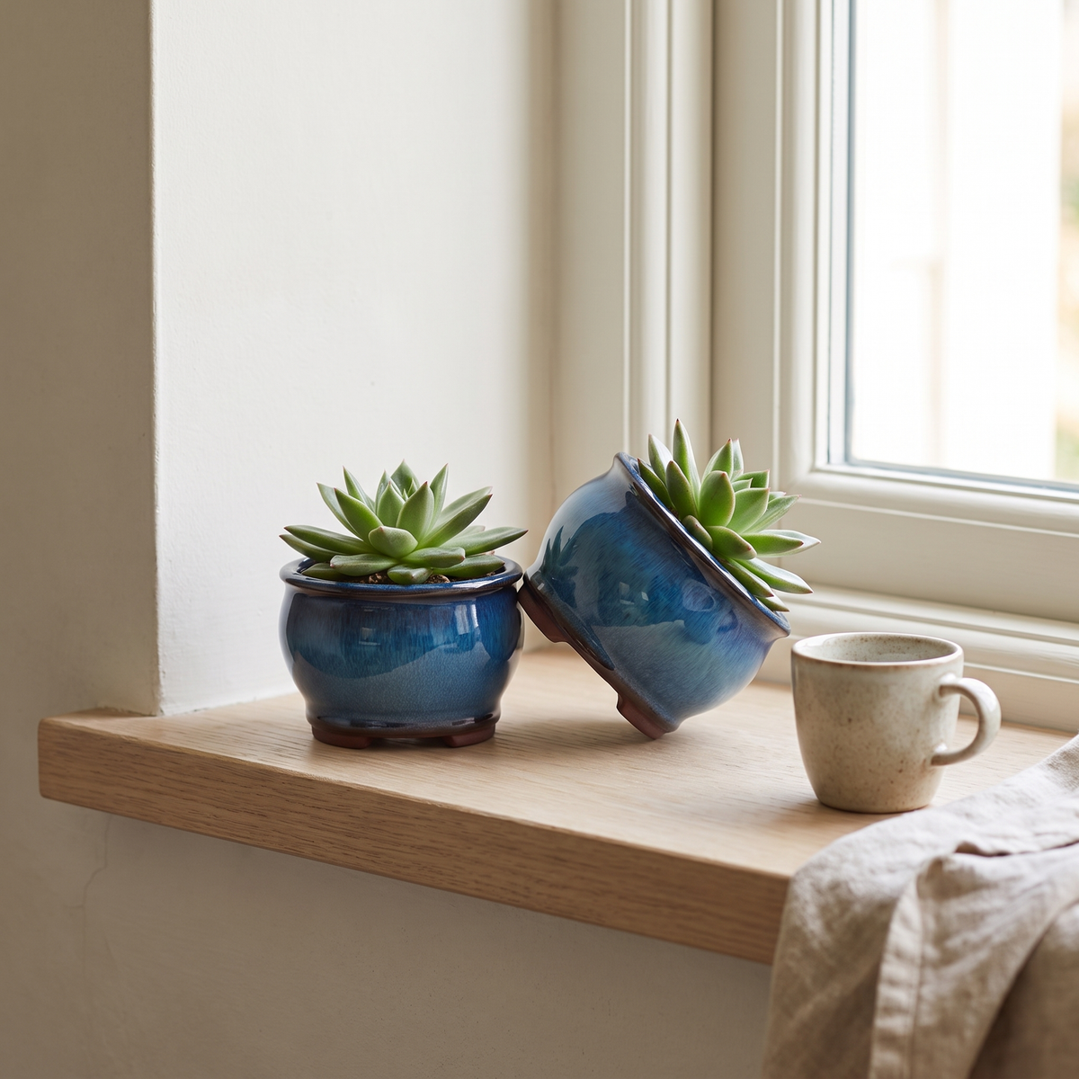 Blue glazed ceramic succulent pots on a windowsill